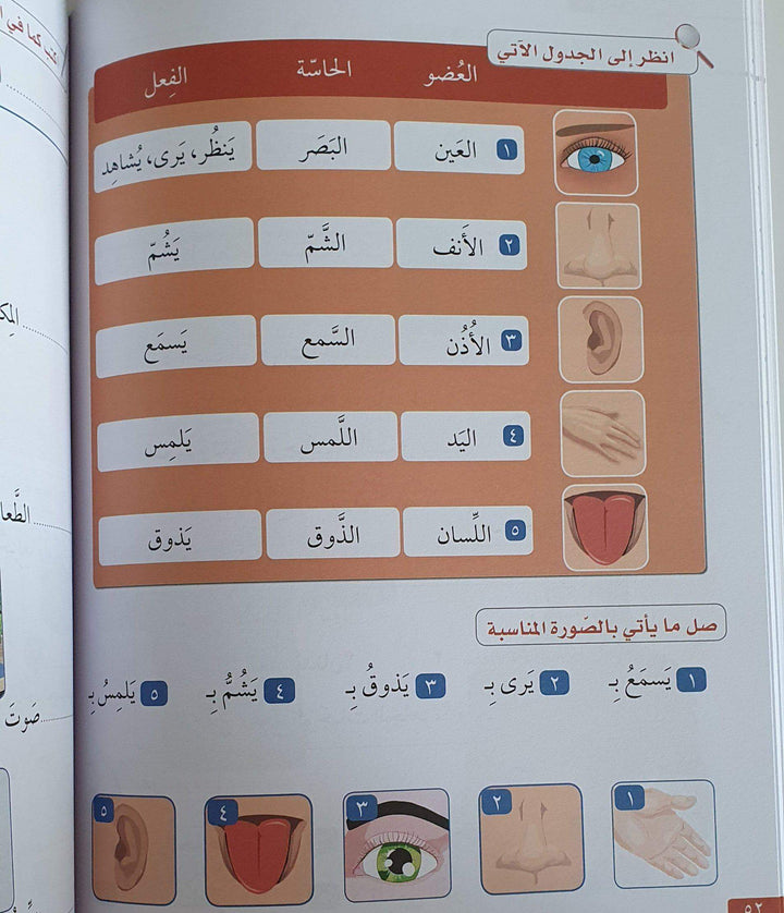 سلسلة اللسان المستوى التمهيدي ج 2 - ArabiskaBazar - أرابيسكابازار